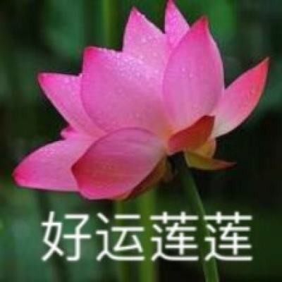雪鹰领主折扣平台下载